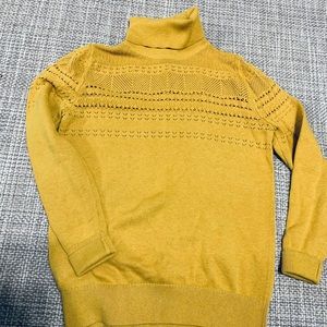 Banana Republic Turtleneck Sweater